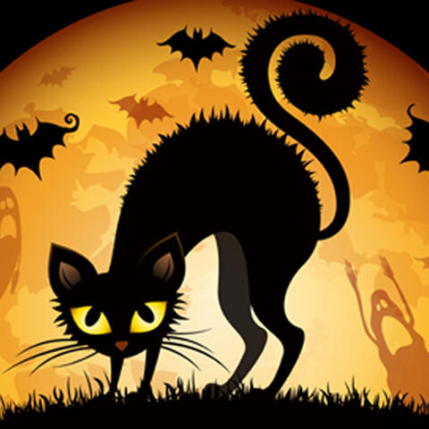 black cat and harvest moon